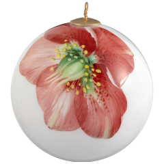 Ball, Giant Bloom, Christmas rose, Ø 5 cm