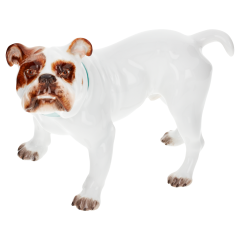 Dog Bulldog, Coloured, without gold, H 7 cm