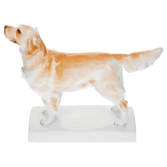 Dog Golden retriever, Coloured, without gold, H 13,2 cm