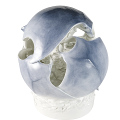 Sphere of rays, Coloured, singature Meissen exclusive collection, lim., H 44 cm