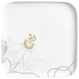 Starter- and Dessert Plate, Shape "nova", Passion flower, 21 x 21 cm