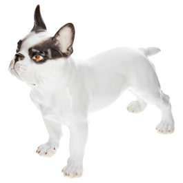 Dog Bulldog, Coloured, without gold, H 16,5 cm
