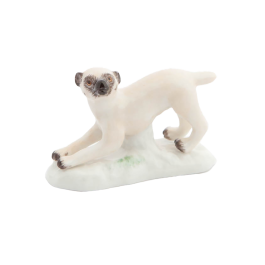 Dog Danish dog, standing, Coloured, without gold