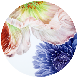 Wall Painting II, Giant Bloom, Lim. 15, Ø 40 cm
