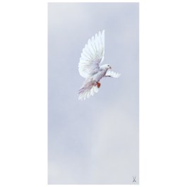 wall painting "Peace Dove", 60 x 30 cm