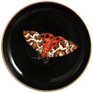 Dish with hanger, Black Bear Butterfly on black background, Ø 13 cm