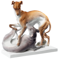Dog group Italian greyhounds, H 24 cm