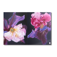Wall Painting, Blooming Night, lim., 70 x 100 cm